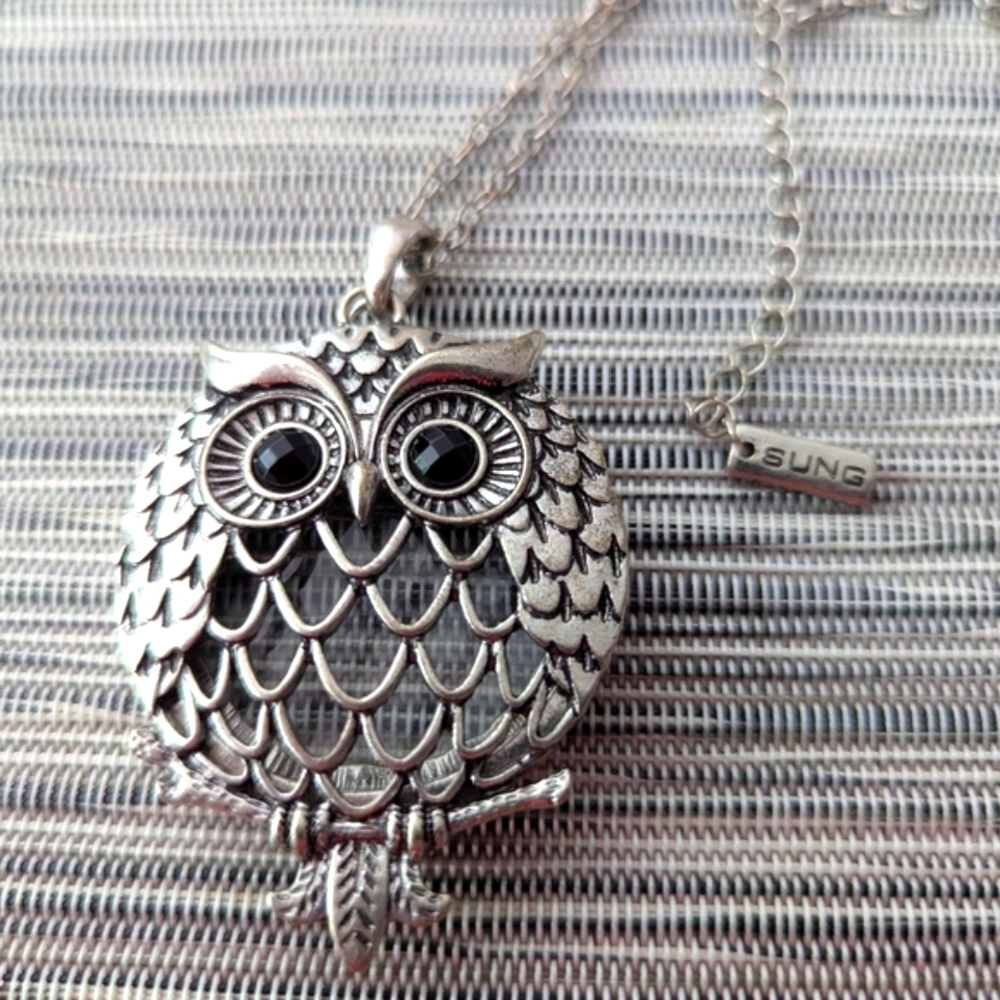Charming Silver Owl Pendant Necklace With Magnifying Glass